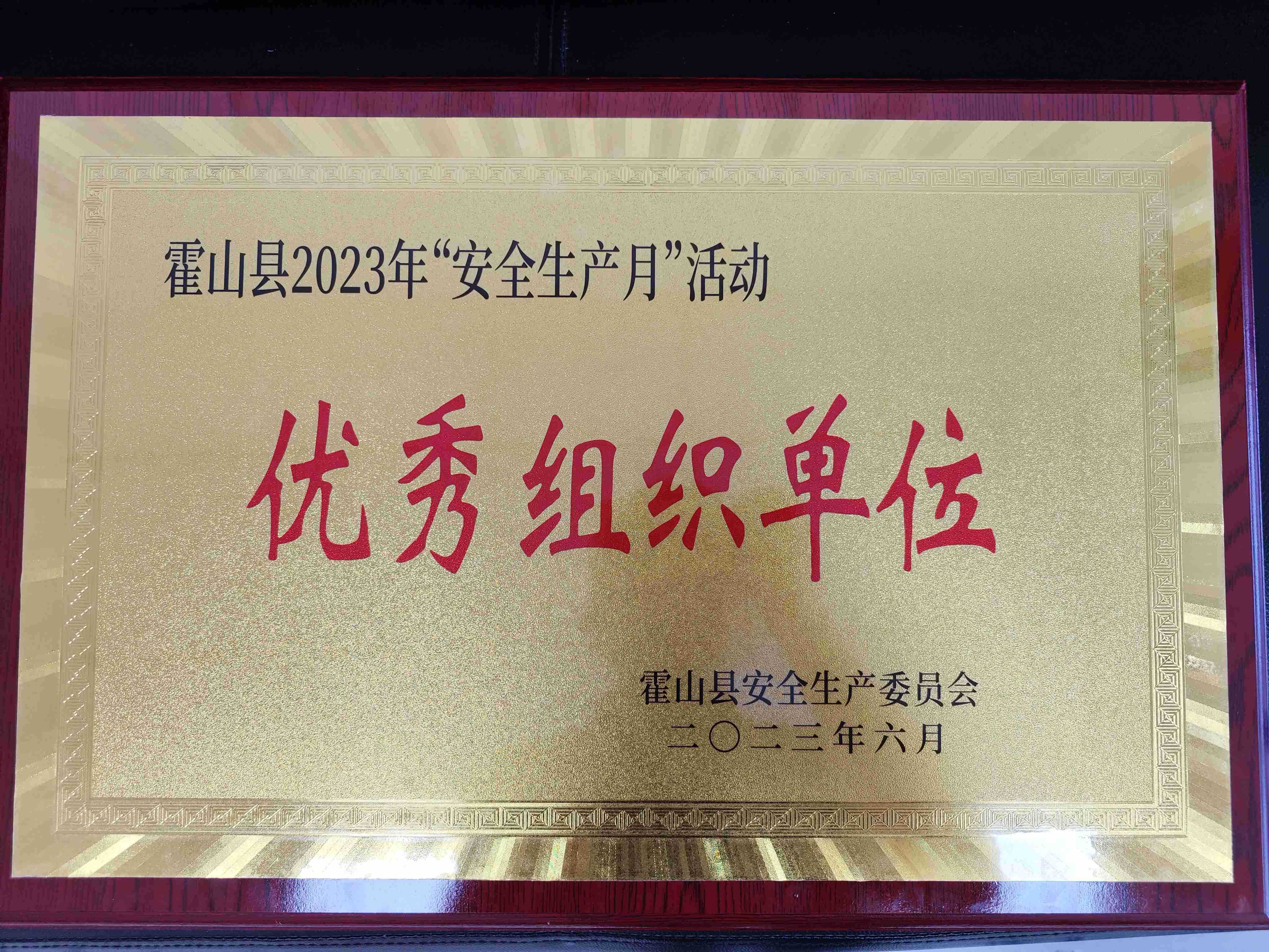 大別山國投集團榮膺“優(yōu)秀組織單位”