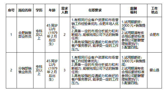 安徽大別山鄉(xiāng)村振興產(chǎn)業(yè)發(fā)展有限公司招聘臨時(shí)工作人員公告