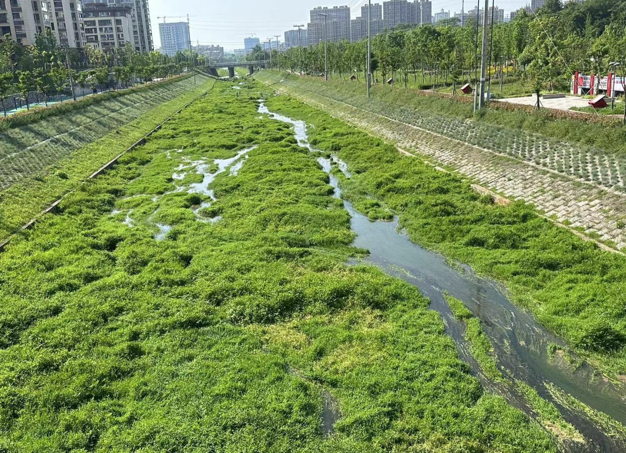 市水利局調(diào)研河湖養(yǎng)護工作