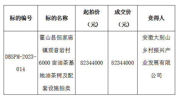 DBSPM-2023-014 霍山縣但家廟鎮(zhèn)觀音巖村6000畝油茶基地油茶樹(shù)及配套設(shè)施拍賣(mài)成交公示